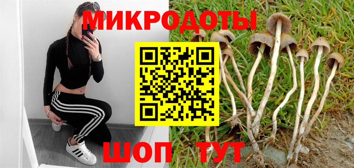 Аргун  Галлюциногенные грибы прущие грибы  Галлюциногенные грибы GOLDEN TEACHER  Вход с VPN 
