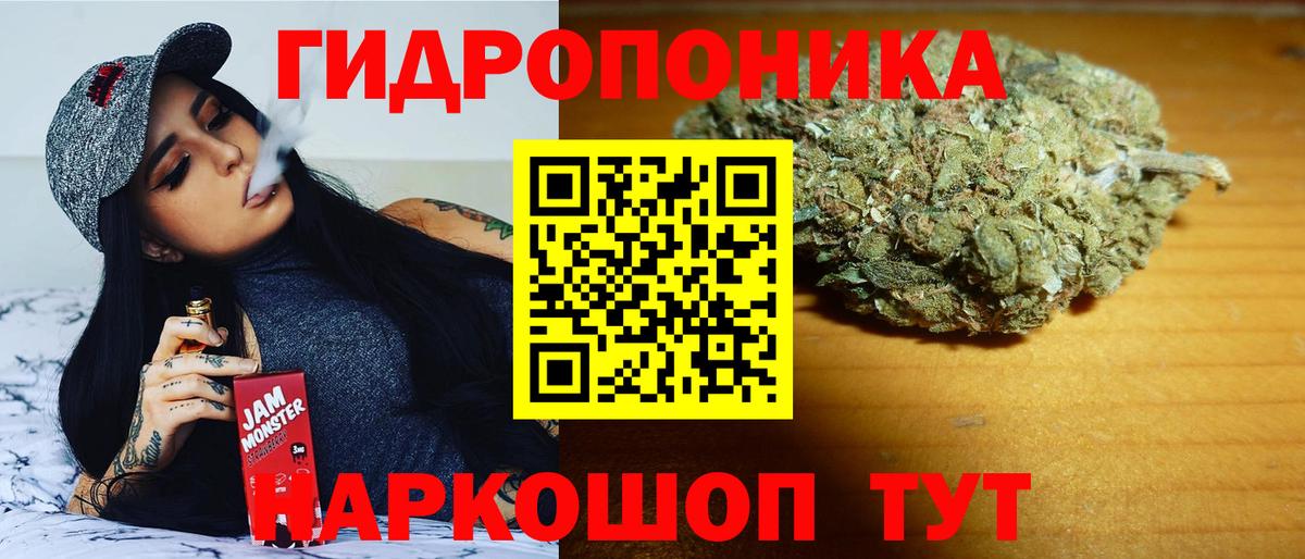 Бошки Шишки сатива  Вход с VPN  Аргун  МАРИХУАНА тримм  Бошки Шишки конопля 